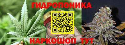 a pvp Кунгур