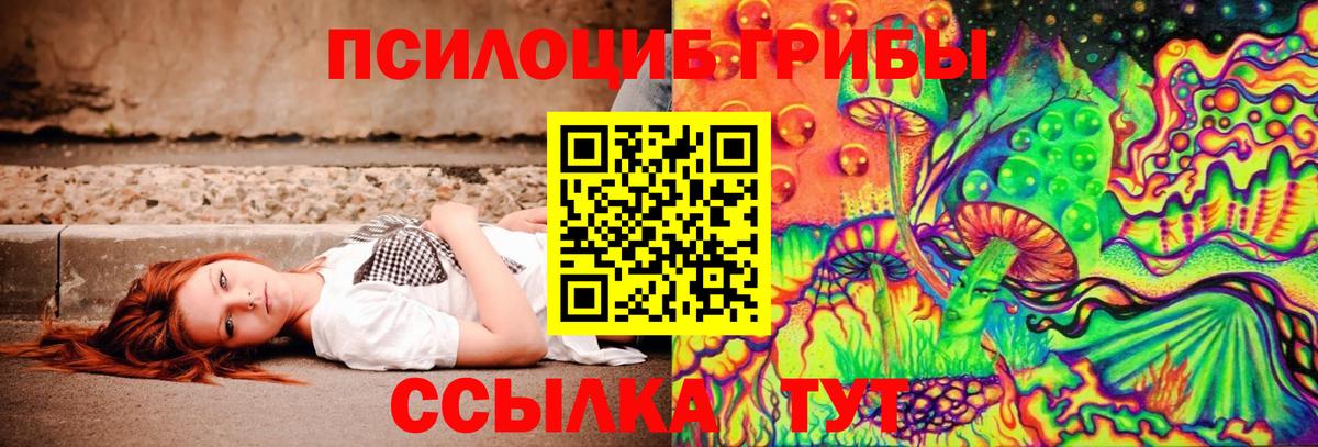 хочу наркоту  Псилоцибиновые грибы MAGIC MUSHROOMS  Вход с VPN  Электрогорск 