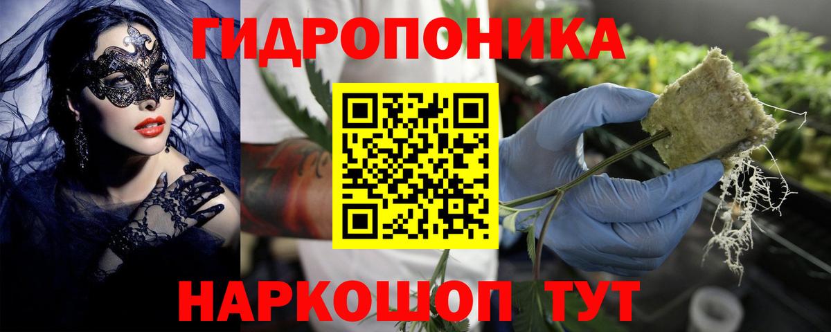 Электрогорск  Марихуана LSD WEED  Вход с VPN  Марихуана Amnesia  Канабис сатива 